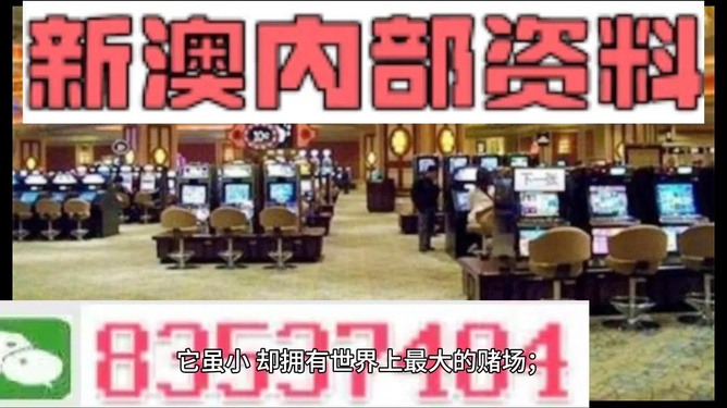 2024新澳精準(zhǔn)資料免費(fèi)，絕對(duì)經(jīng)典解釋落實(shí)_The47.77.6