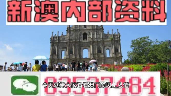 新澳資料大全正版資料2024年免費(fèi)下載，準(zhǔn)確資料解釋落實(shí)_WP88.61.16