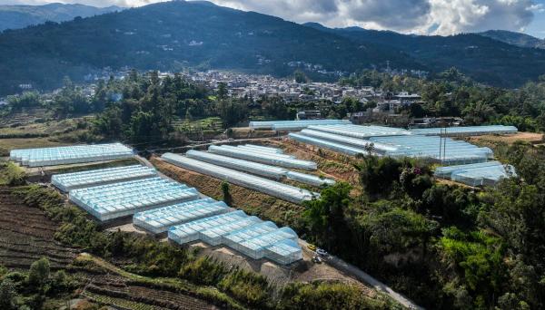 鳳慶縣概覽，最新消息與概述