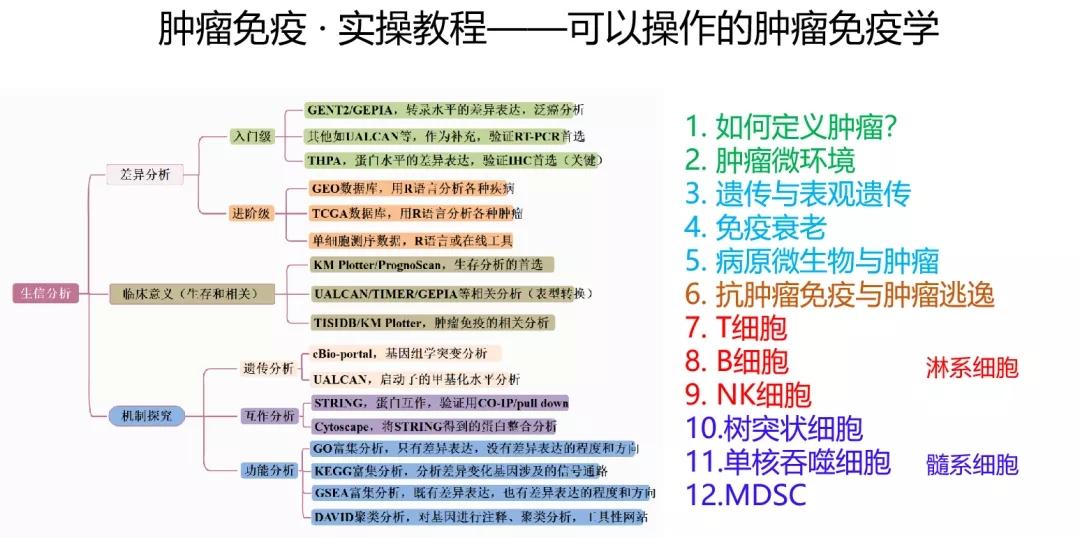 2024年正版資料免費,植物保護(hù)_至人CXB724.52