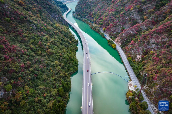 桃江新篇章，探尋最新規(guī)劃公路與小巷深處的美食秘境之旅