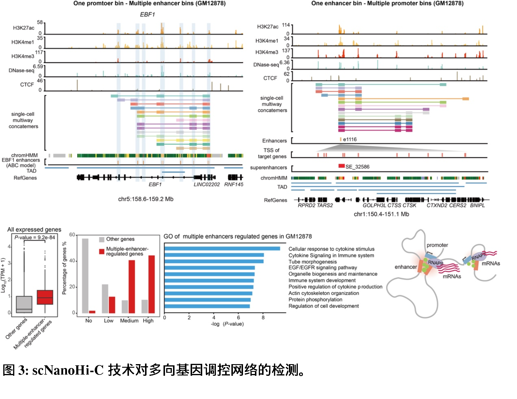 澳門(mén)彩資料，YLP62.848時(shí)尚版數(shù)據(jù)驅(qū)動(dòng)設(shè)計(jì)法