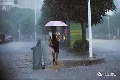 四川成都暴雨下的心靈之旅，暴雨洗禮的秘境探尋