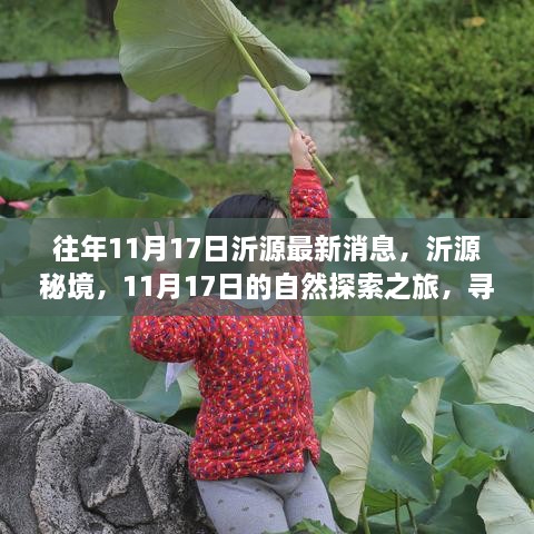 沂源秘境探索，11月17日的自然之旅，探尋桃花源般的心靈之地