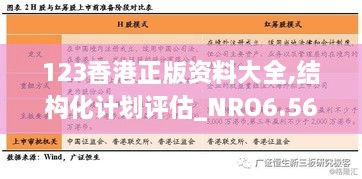 123香港正版資料大全,結(jié)構(gòu)化計劃評估_NRO6.56.33運動版