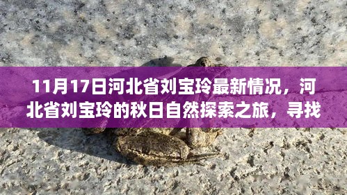 河北省劉寶玲秋日自然探索之旅，尋找內(nèi)心的寧靜與喜悅最新進展（11月17日）