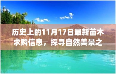 探尋自然美景之旅，歷史上的日子與今日苗木求購信息交匯點