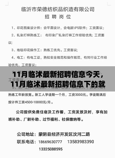 11月臨沭最新招聘信息匯總，就業(yè)市場觀察與個人選擇