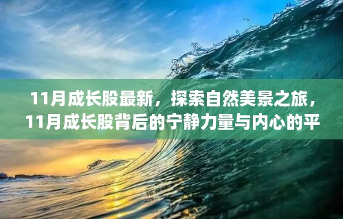 探索自然美景之旅，揭秘11月成長(zhǎng)股背后的寧?kù)o力量與內(nèi)心平和的力量