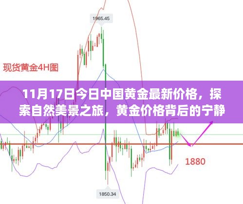 今日黃金價(jià)格揭秘，寧?kù)o力量背后的黃金旅程與探索自然美景之旅