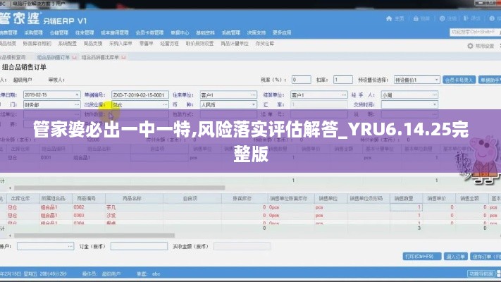 管家婆必出一中一特,風險落實評估解答_YRU6.14.25完整版