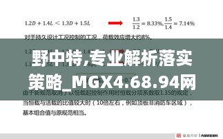 野中特,專業(yè)解析落實(shí)策略_MGX4.68.94網(wǎng)絡(luò)版