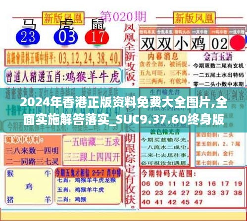 2024年香港正版資料免費(fèi)大全圖片,全面實(shí)施解答落實(shí)_SUC9.37.60終身版