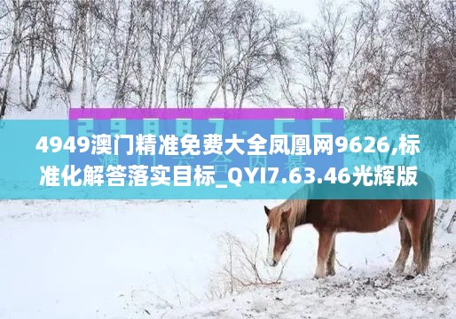 4949澳門精準(zhǔn)免費(fèi)大全鳳凰網(wǎng)9626,標(biāo)準(zhǔn)化解答落實(shí)目標(biāo)_QYI7.63.46光輝版