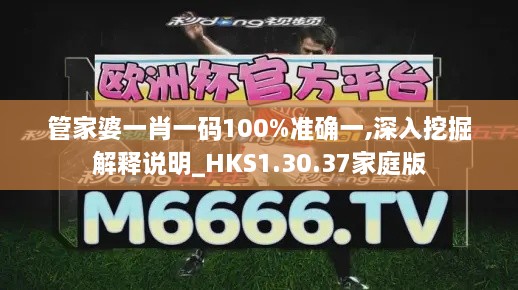 管家婆一肖一碼100%準(zhǔn)確一,深入挖掘解釋說(shuō)明_HKS1.30.37家庭版