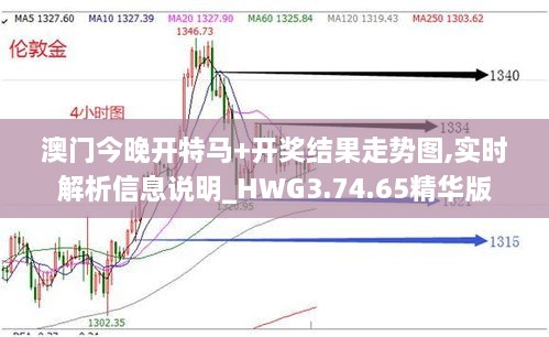 澳門今晚開特馬+開獎結(jié)果走勢圖,實時解析信息說明_HWG3.74.65精華版