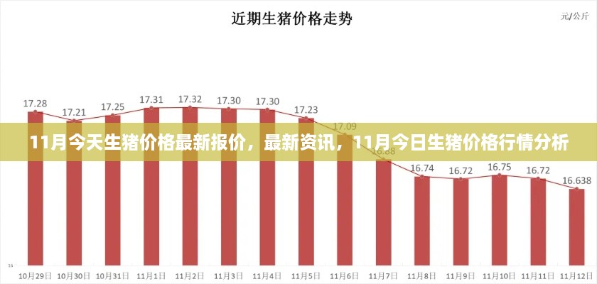 最新資訊，11月今日生豬價(jià)格行情分析與報(bào)價(jià)