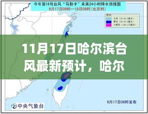 哈爾濱臺風(fēng)小插曲，溫馨日常與最新預(yù)計報告