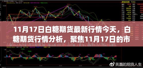 白糖期貨行情分析，聚焦市場動態(tài)與未來展望（最新行情報道，日期，11月17日）