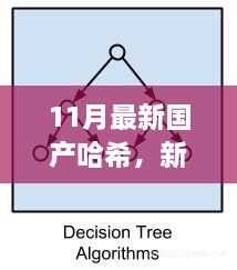 新哈希算法下的暖心日常，友情、家庭與愛的紐帶（11月最新國產(chǎn)哈希分享）