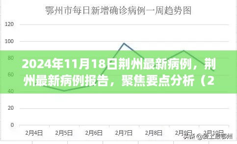 荊州最新病例報告及分析（2024年11月18日更新）