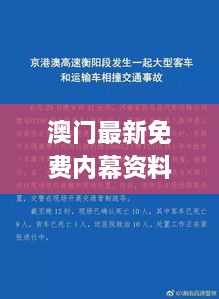 澳門最新免費(fèi)內(nèi)幕資料，11月19日深度解析與解答方案_SVP8.12.34標(biāo)準(zhǔn)版