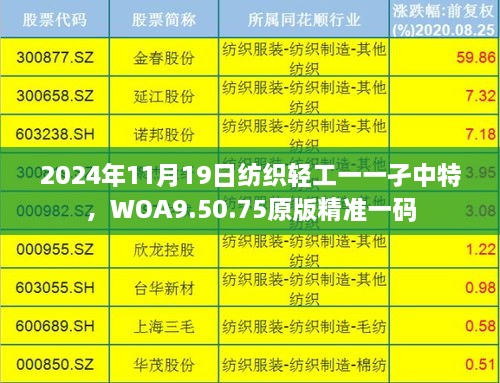 2024年11月19日紡織輕工一一孑中特，WOA9.50.75原版精準一碼