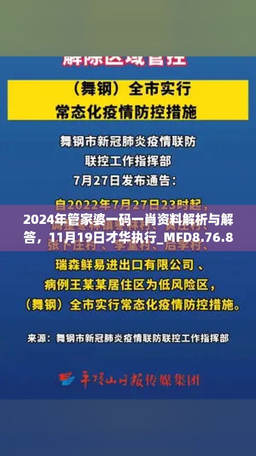 2024年管家婆一碼一肖資料解析與解答，11月19日才華執(zhí)行_MFD8.76.81加速版