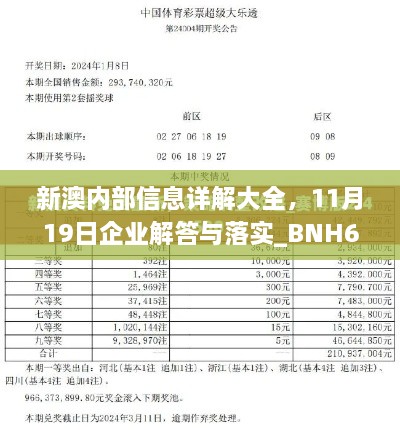 新澳內(nèi)部信息詳解大全，11月19日企業(yè)解答與落實(shí)_BNH6.37.71零障礙版