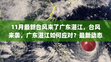 廣東湛江應(yīng)對最新臺(tái)風(fēng)來襲，動(dòng)態(tài)解析與應(yīng)對策略