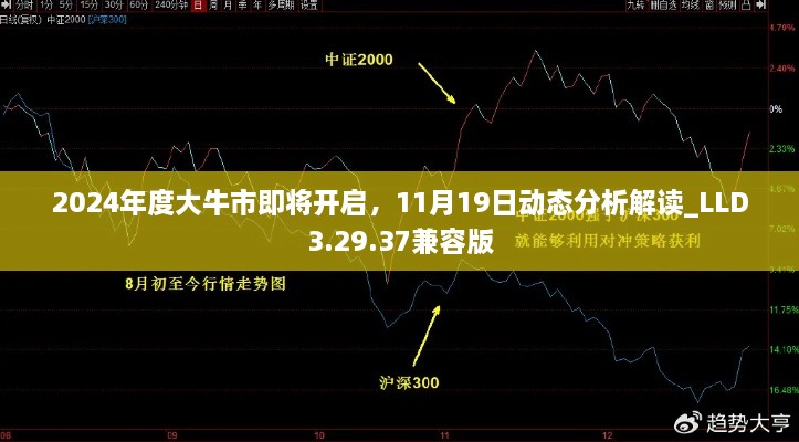 2024年度大牛市即將開啟，11月19日動態(tài)分析解讀_LLD3.29.37兼容版