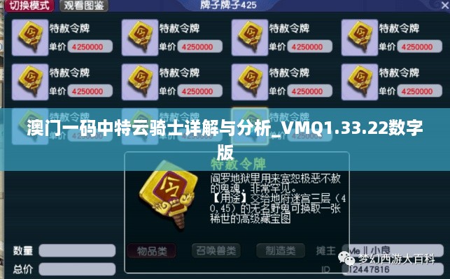 澳門一碼中特云騎士詳解與分析_VMQ1.33.22數(shù)字版