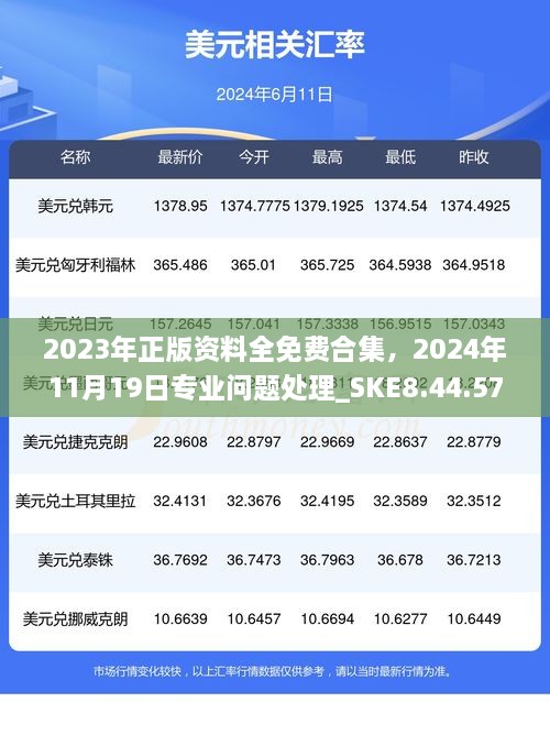 2023年正版資料全免費(fèi)合集，2024年11月19日專(zhuān)業(yè)問(wèn)題處理_SKE8.44.57定制版