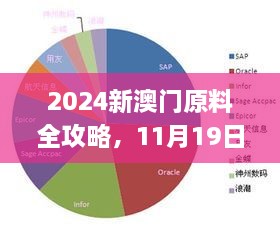 2024新澳門原料全攻略，11月19日專職解析實施_LXC6.23.35L版