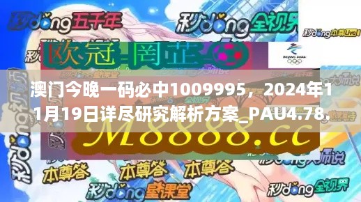 澳門今晚一碼必中1009995，2024年11月19日詳盡研究解析方案_PAU4.78.58文化傳承版