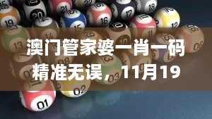 澳門管家婆一肖一碼精準無誤，11月19日即時響應(yīng)實施方案_QAJ6.15.29旅行者特別版