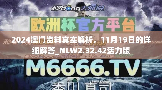 2024澳門資料真實解析，11月19日的詳細解答_NLW2.32.42活力版