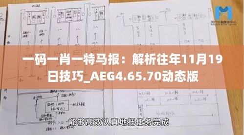 一碼一肖一特馬報：解析往年11月19日技巧_AEG4.65.70動態(tài)版