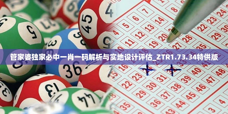 管家婆獨家必中一肖一碼解析與實地設計評估_ZTR1.73.34特供版