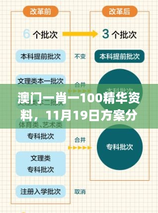 澳門一肖一100精華資料，11月19日方案分析與解讀_PDE3.33.55精選版