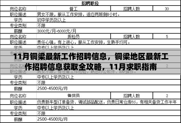 銅梁地區(qū)最新招聘全攻略，求職指南與招聘信息獲取指南（11月版）