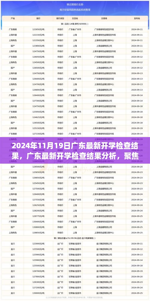 廣東最新開學(xué)檢查結(jié)果分析與觀察思考，聚焦2024年11月19日?qǐng)?bào)告