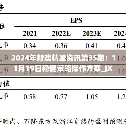 2024年新澳精準(zhǔn)資訊第35期：11月19日穩(wěn)健策略操作方案_JXN5.13.30 DIY版