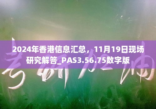 2024年香港信息匯總，11月19日現(xiàn)場研究解答_PAS3.56.75數(shù)字版