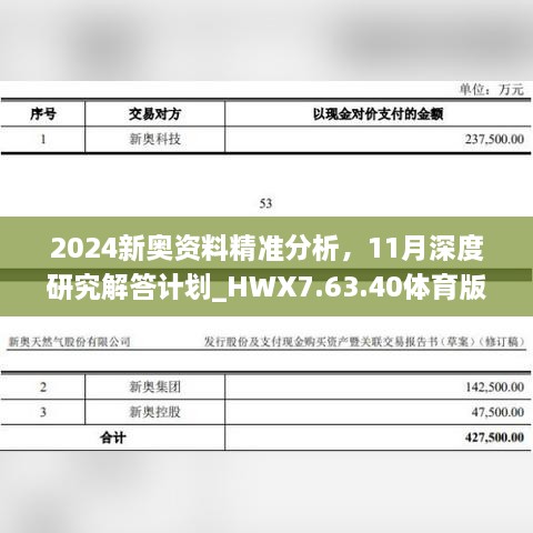 2024新奧資料精準(zhǔn)分析，11月深度研究解答計(jì)劃_HWX7.63.40體育版