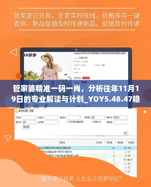 管家婆精準(zhǔn)一碼一肖，分析往年11月19日的專業(yè)解讀與計(jì)劃_YOY5.48.47穩(wěn)定版