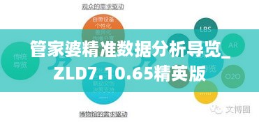 管家婆精準(zhǔn)數(shù)據(jù)分析導(dǎo)覽_ZLD7.10.65精英版