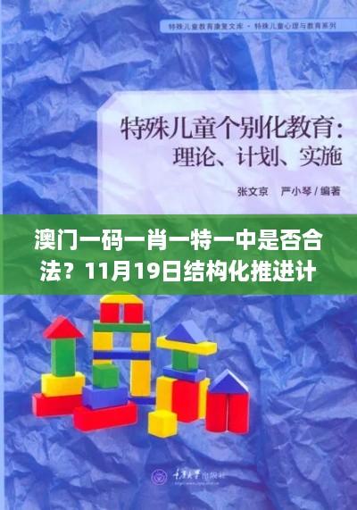 澳門一碼一肖一特一中是否合法？11月19日結(jié)構(gòu)化推進計劃評估_JHZ7.37.43極速版