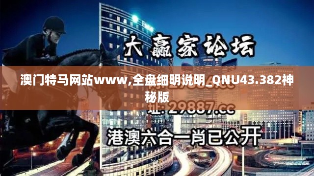 澳門特馬網(wǎng)站www,全盤細(xì)明說明_QNU43.382神秘版