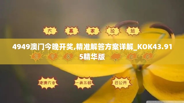 4949澳門(mén)今晚開(kāi)獎(jiǎng),精準(zhǔn)解答方案詳解_KOK43.915精華版